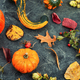 Autumn composition of different squash or pumpkins. - PhotoDune Item for Sale