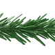 Christmas spruce, green fir twig isolated on white transparent background,  - PhotoDune Item for Sale