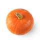Fresh Ripe Orange Pumpkin Isolated On White Background. - PhotoDune Item for Sale