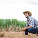 A farmer wearing a hat sits in a sugar cane field looking blankly ahead. - PhotoDune Item for Sale