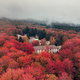 Old houses into the autumnal canopy of tree in the mountains aerial - PhotoDune Item for Sale