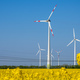 Wind turbines and power lines in a field of flowering rapeseed - PhotoDune Item for Sale