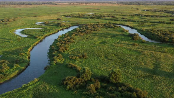 A winding river flows through a swampy plain and forest, aerial view.