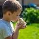 A child holds a chicken in his hands. A boy and a bird. - PhotoDune Item for Sale