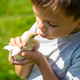 A child holds a chicken in his hands. A boy and a bird. - PhotoDune Item for Sale