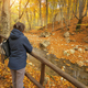 Woman walking in auntimn forest. - PhotoDune Item for Sale