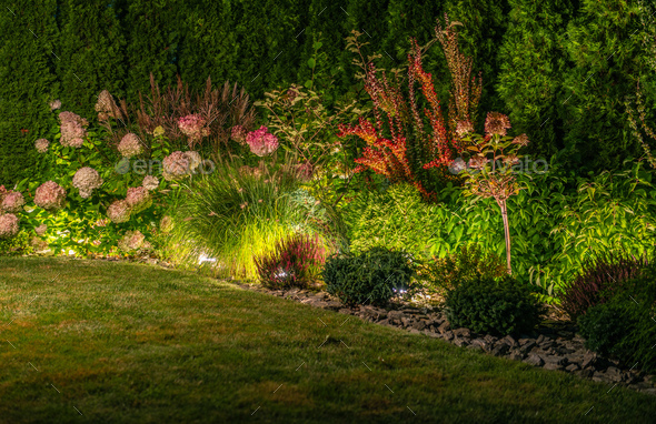 Backyard Garden Illuminated by LED Outdoor Lighting