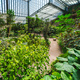 The cold house Estufa Fria is a greenhouse with gardens, ponds, plants and trees in Lisbon, Portugal - PhotoDune Item for Sale