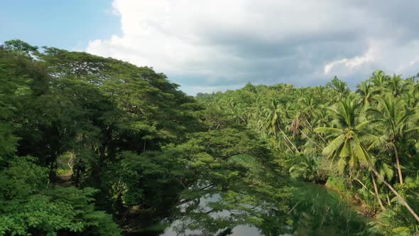 Calm River and Rainforest in Philippines alt