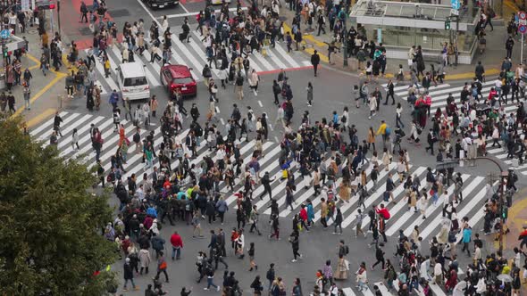 Shibuya Crossing In Tokyo Japan alt