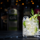 Gin fizz cocktail drink with dry gin, lime juice, sugar syrup, soda, fresh rosemary and ice - PhotoDune Item for Sale