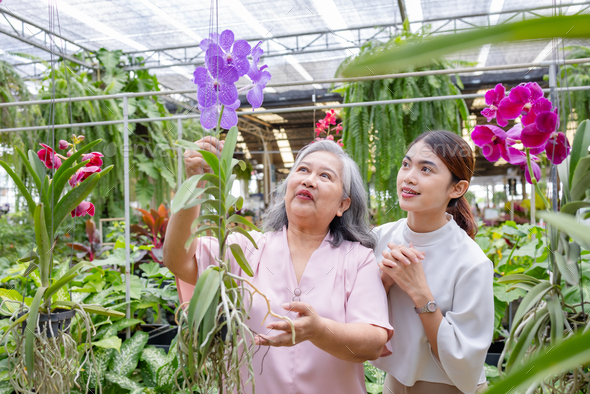 Senior women with daugther choosing orchids in a large store.
