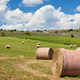 Rural landscape, France - PhotoDune Item for Sale