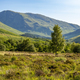 Glencoe Valley in Scotland - PhotoDune Item for Sale