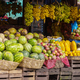 Fruit market - PhotoDune Item for Sale