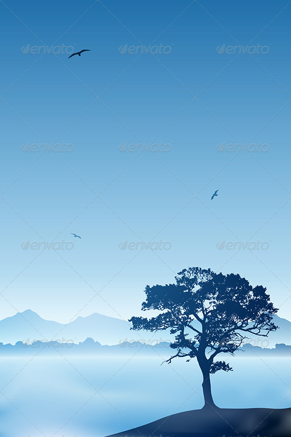 Lone Tree - Landscapes Nature