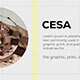 Cesa Promo Cesa Promo - VideoHive Item for Sale