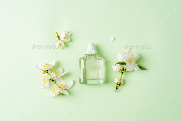 Light jasmine 2024 perfume