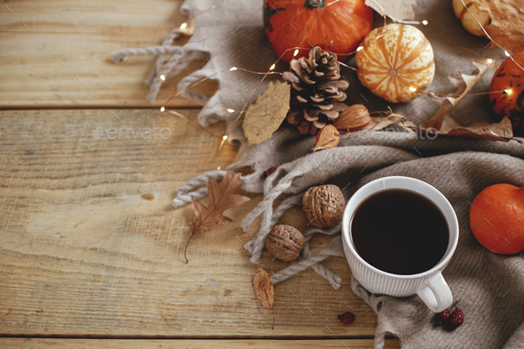 Cozy autumn. Warm cup of tea, pumpkins, autumn leaves, cones, cozy ...