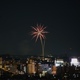 Flower-like fireworks at night in Tokyo  - PhotoDune Item for Sale