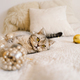 A cat of the Scottish straight cat breed sits on a bed. Good New Year spirit. - PhotoDune Item for Sale