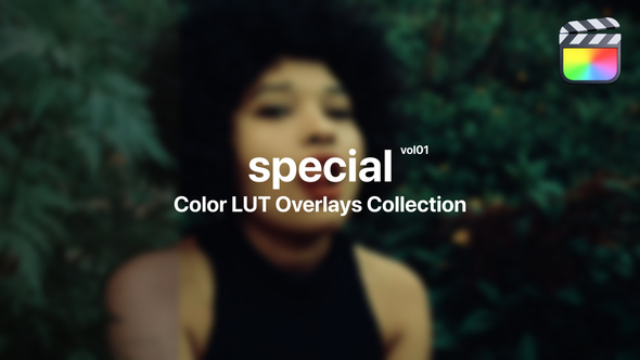 Special Color Presets for Final Cut Pro Vol. 01