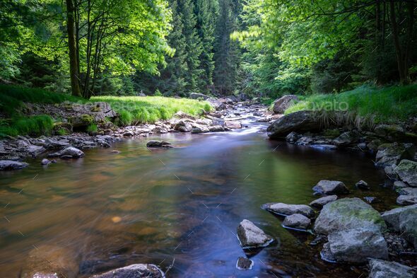 River Water in Forest, Rocky River Side Stock Photo - Image of grass,  scenery: 165302448