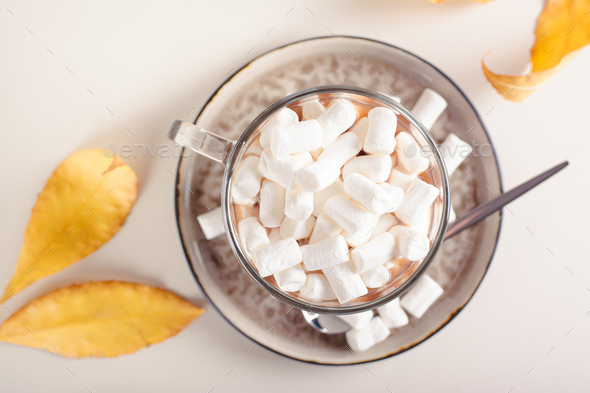 A Cup Of Aromatic Tasty Hot Chocolate With Marshmallows Decorated