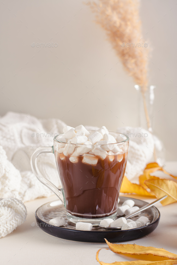 A Cup Of Aromatic Tasty Hot Chocolate With Marshmallows Decorated