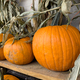 Pumpkins in a row on wooden shelf, fall display - PhotoDune Item for Sale
