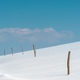 Wooden sticks for dairy farm free range fencing in snow at Zlatibor landscape - PhotoDune Item for Sale