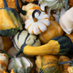 Variation of ornamental pumpkins full frame close up - PhotoDune Item for Sale