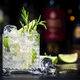 Gin fizz cocktail drink with dry gin, lime juice, sugar syrup, soda, fresh rosemary and ice. - PhotoDune Item for Sale