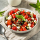 Organic Healthy Caprese Salad with Mozzarella - PhotoDune Item for Sale