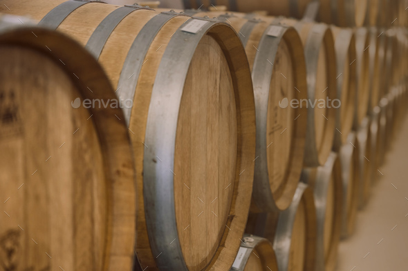 Wine fermentation barrels in wine cellar traditional winery making process for good taste and aroma