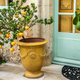 Tangerine tree in a yellow pot - PhotoDune Item for Sale