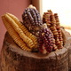 Closeup of corn in traditional Peruvian village - PhotoDune Item for Sale