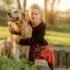 Pretty girl with golden retriever dog at nature - PhotoDune Item for Sale