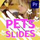 Pets Slides | Premiere Pro MOGRT - VideoHive Item for Sale