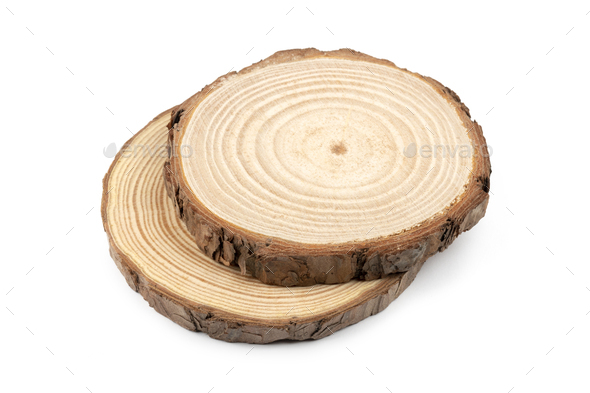 Cross section of tree trunks showing growth rings - Stock Photo - Images