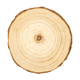 Cross section of tree trunk showing growth rings - PhotoDune Item for Sale