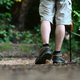 Male hiker with trekking sticks walking along the forest path. Traveling and adventure concept - PhotoDune Item for Sale
