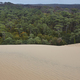 Pilat dune and forest in arcachon basin. Aquitaine, France - PhotoDune Item for Sale