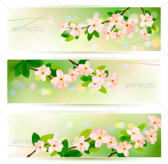 Three Spring Banners with Blossoming Tree Brunch - Flowers & Plants Nature