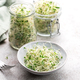 Microgreens grown in a jar. - PhotoDune Item for Sale