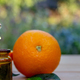 Essential extract of orange oil. - PhotoDune Item for Sale
