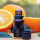 Essential extract of orange oil. - PhotoDune Item for Sale