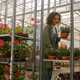 Smiling female gardener work in greenhouse with flowers in pot. Greenhouse flower production - PhotoDune Item for Sale