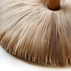 A just picked mushroom placed on a table - PhotoDune Item for Sale