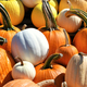 Piles of pumpkins for sale at a farmers market outdoors - full frame background - PhotoDune Item for Sale